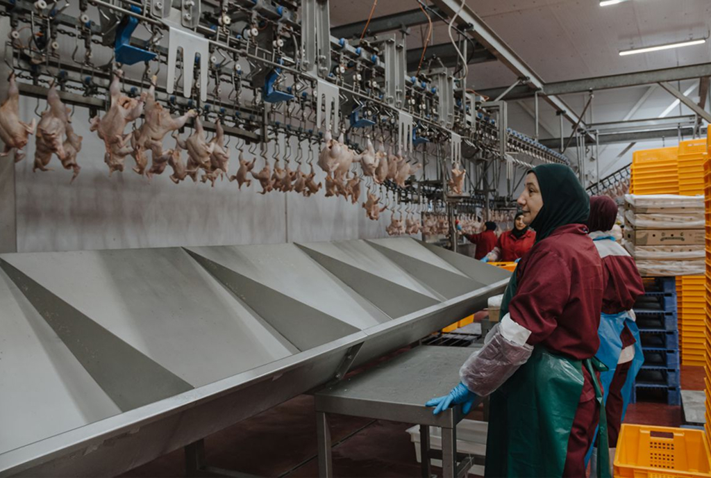 Продукция компании